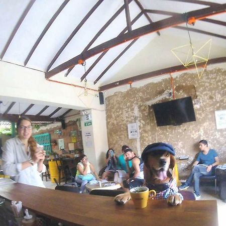 Panela Medellin Pansiyon Dış mekan fotoğraf