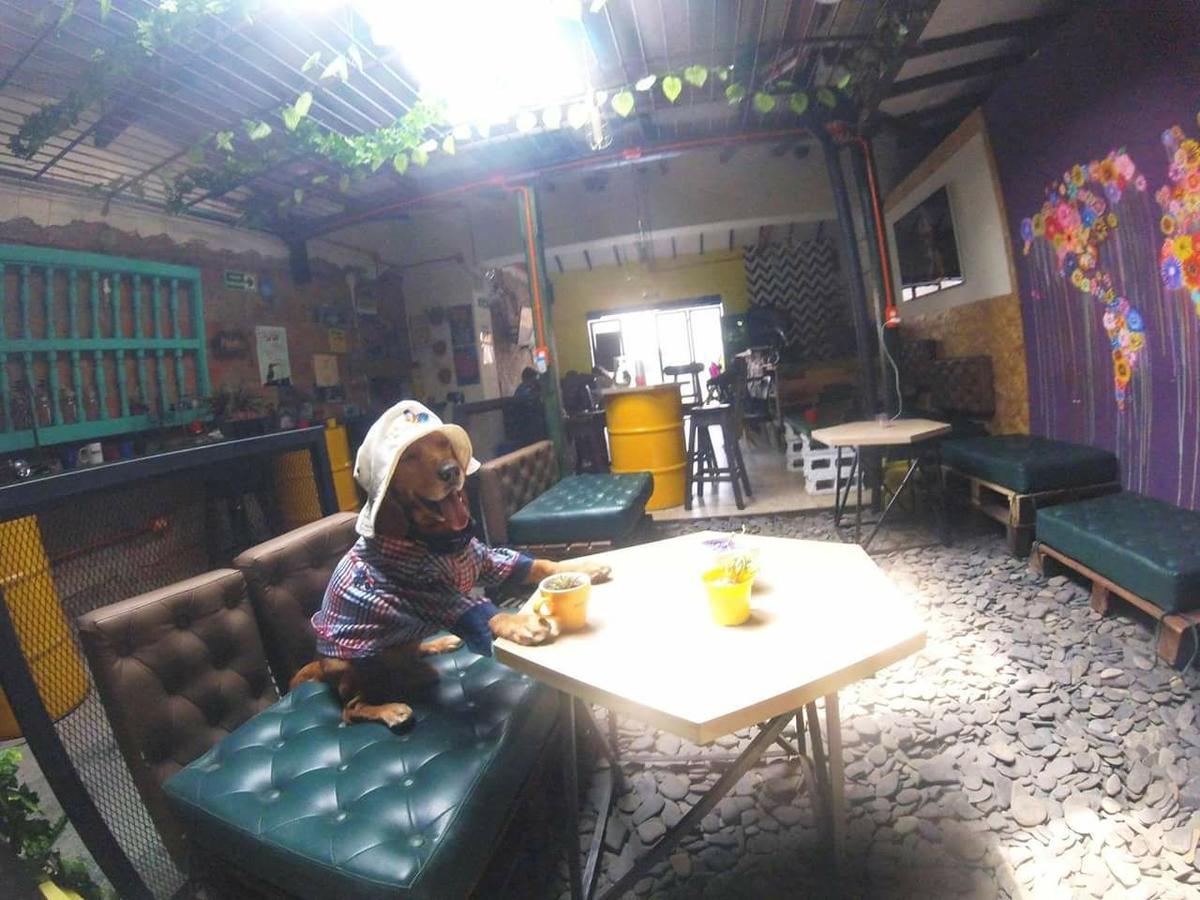 Panela Medellin Pansiyon Dış mekan fotoğraf