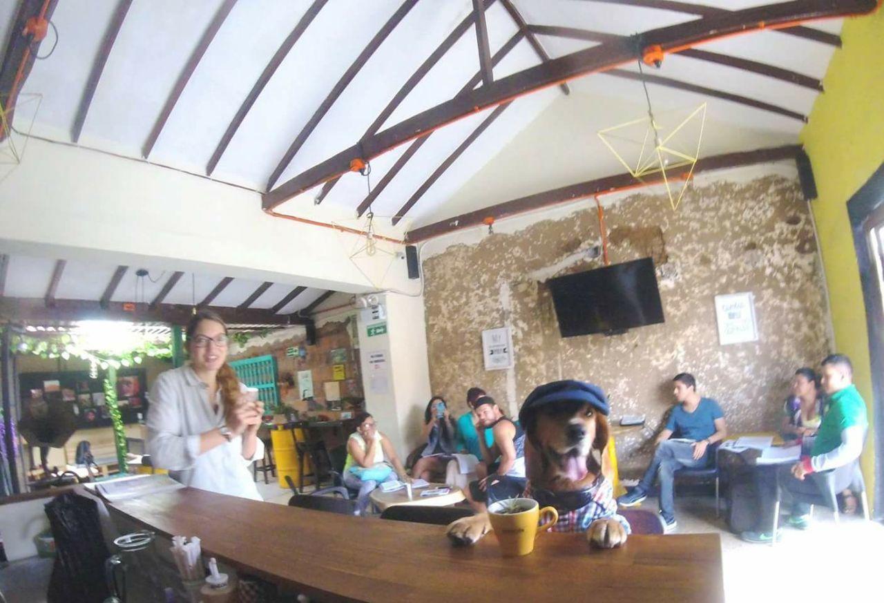 Panela Medellin Pansiyon Dış mekan fotoğraf